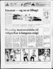 Síða 20