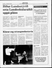 Síða 3