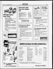 Síða 13