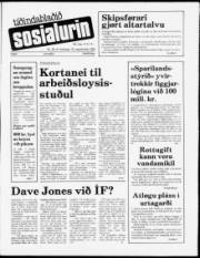 Síða 1