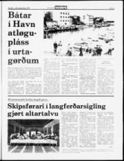 Síða 5