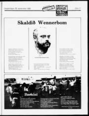 Síða 11