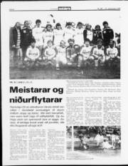 Síða 8