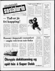 Síða 1