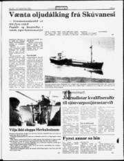 Síða 3
