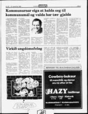Síða 5