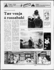 Síða 2