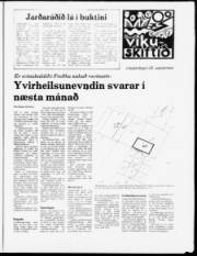 Síða 7