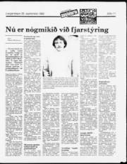 Síða 11