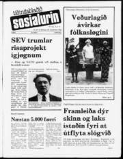 Síða 1