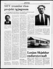 Síða 4