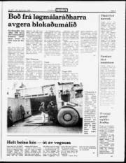 Síða 5