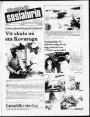Síða 1
