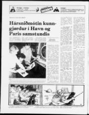 Síða 12