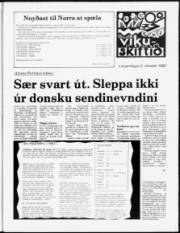 Síða 7