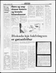 Síða 3