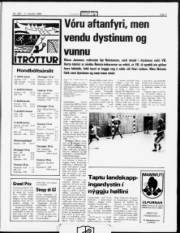 Síða 7
