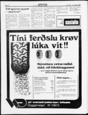 Síða 12