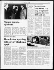 Síða 3