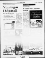 Síða 4