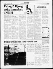 Síða 5