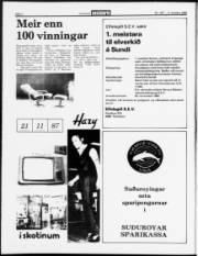 Síða 2