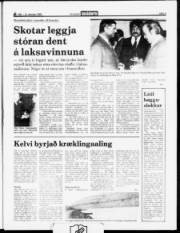 Síða 3