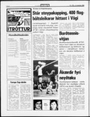 Síða 8