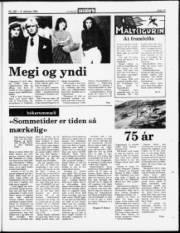 Síða 15