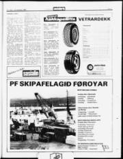 Síða 17