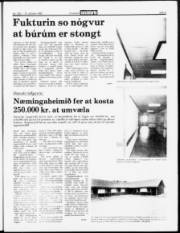 Síða 3