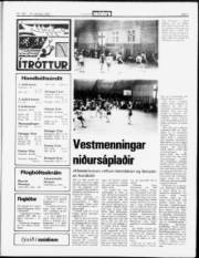 Síða 7