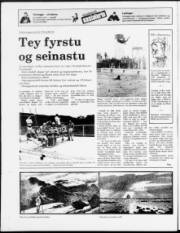 Síða 16