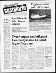 Síða 1