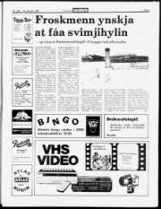 Síða 3