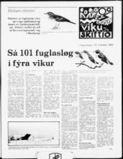 Síða 7