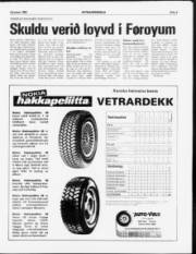 Síða 29