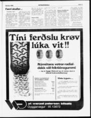 Síða 31