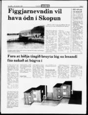 Síða 5