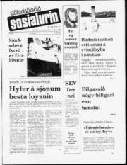 Síða 1