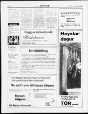 Síða 12