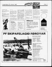Síða 11