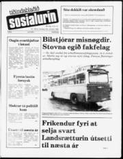 Síða 1