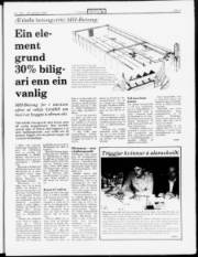 Síða 3