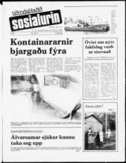 Síða 1