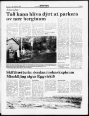 Síða 3