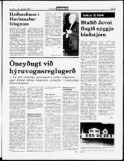 Síða 5