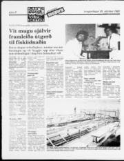Síða 8