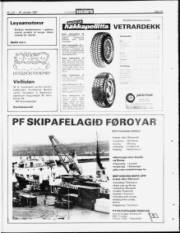 Síða 15