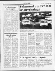 Síða 4